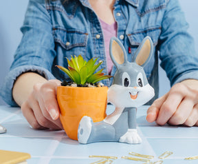 Looney Tunes Bugs Bunny 5-Inch Ceramic Mini Planter With Artificial Succulent