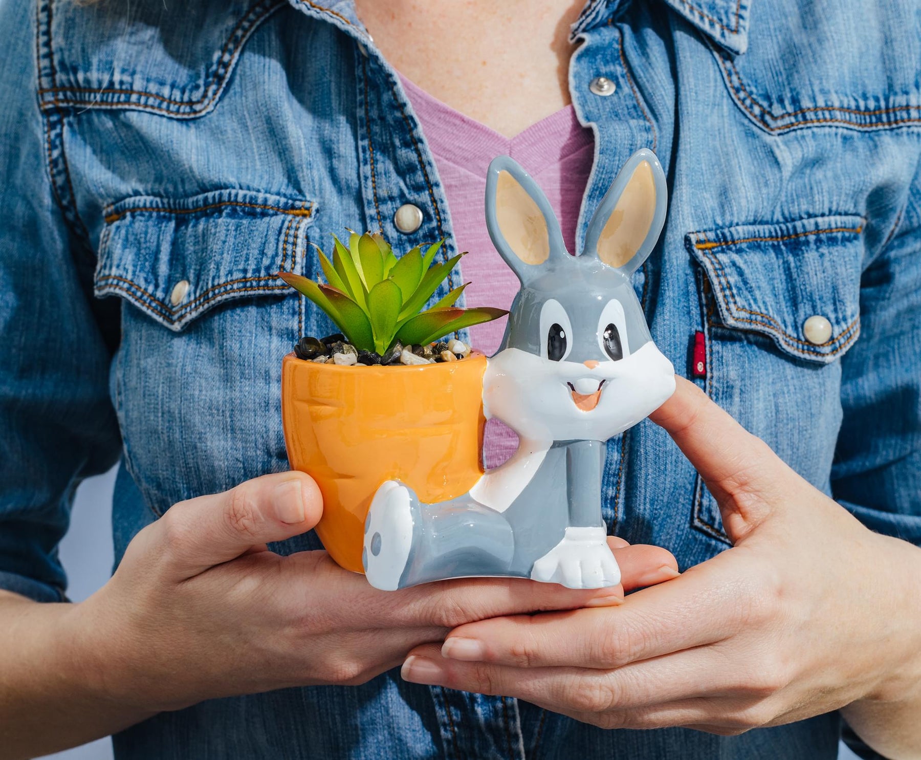 Looney Tunes Bugs Bunny 5-Inch Ceramic Mini Planter With Artificial Succulent