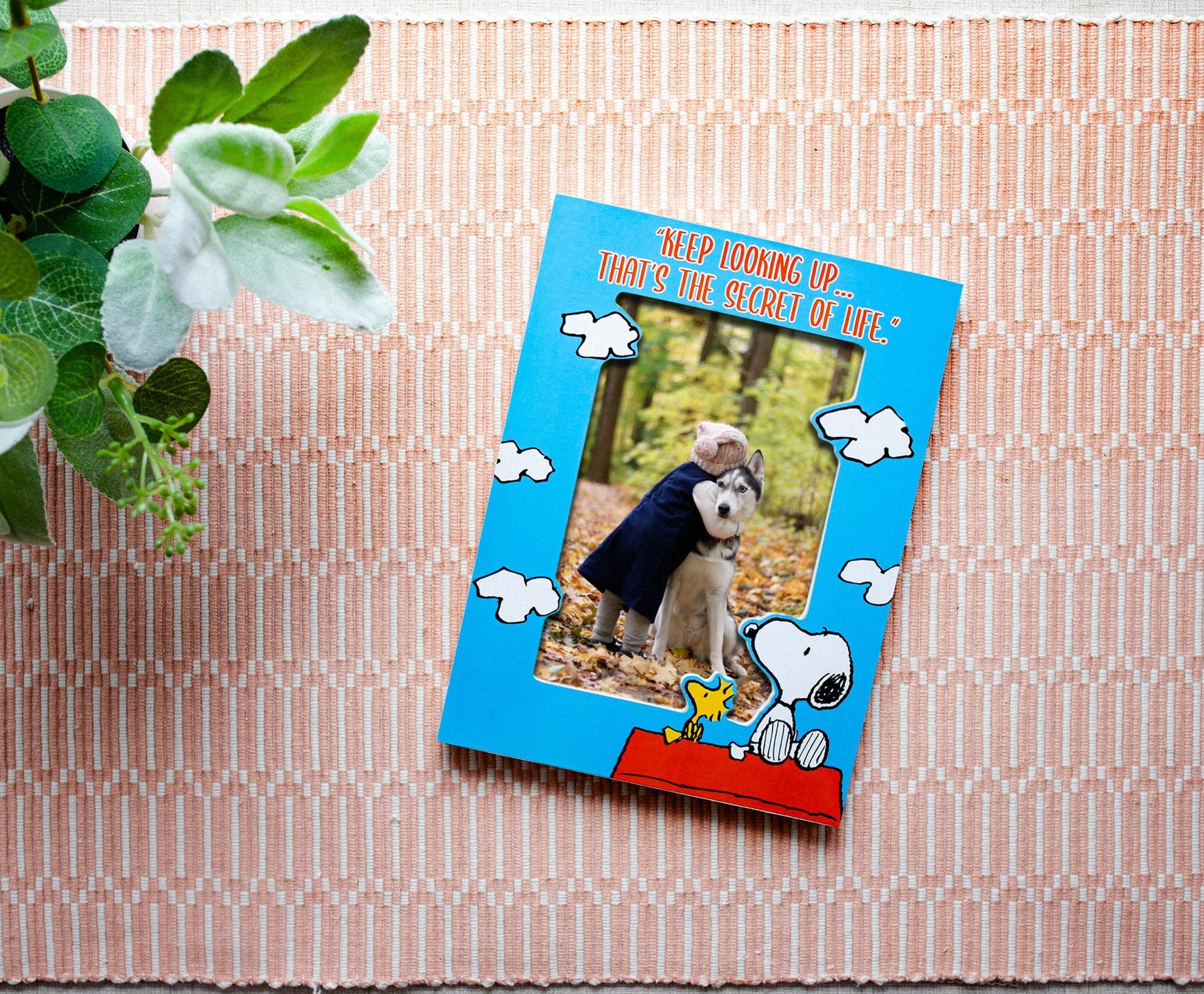 Peanuts Snoopy and Woodstock "Keep Looking Up" Die-Cut Photo Frame | 4 x 6 Inch