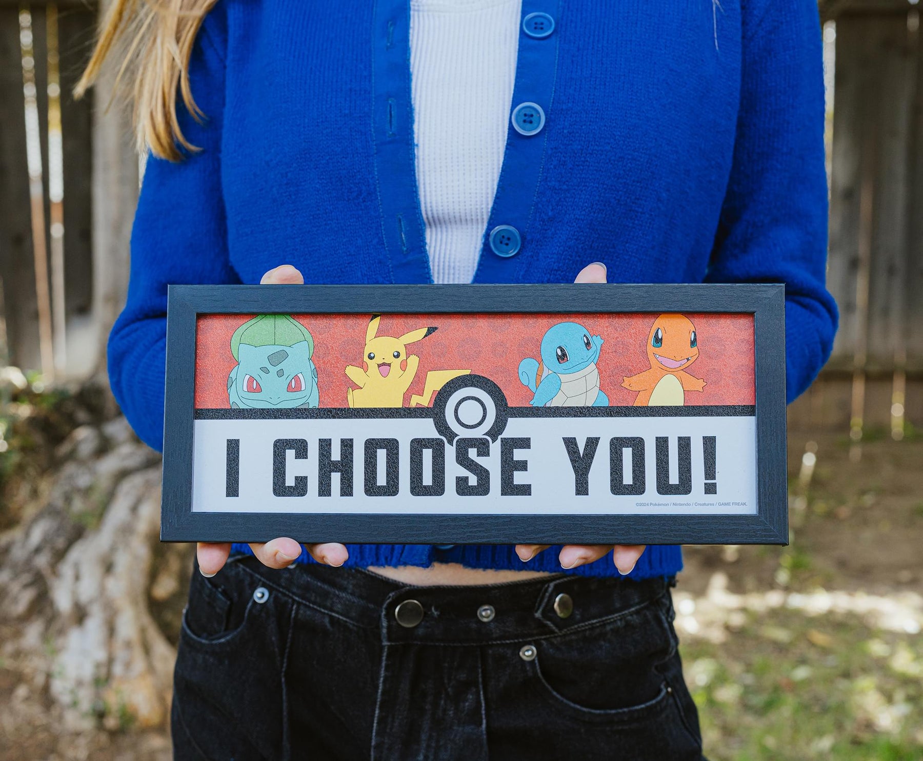 Pokemon "I Choose You" 12 x 5 Inch Framed MDF Wall Art