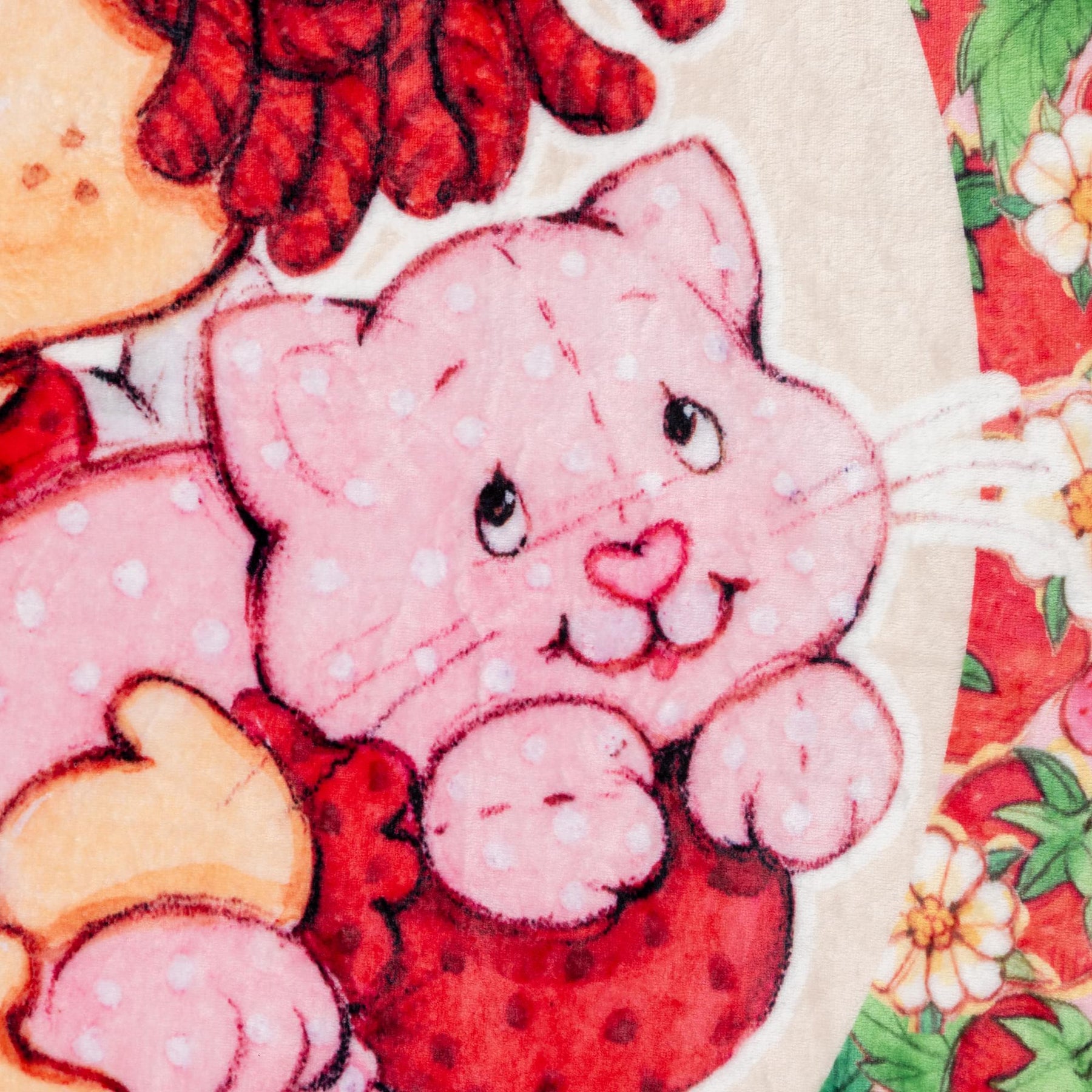 Strawberry Shortcake "Berry Special" Raschel Throw Blanket | 45 x 60 Inches