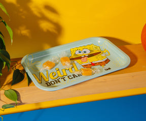 Nickelodeon SpongeBob SquarePants "Weird. Don't Care." Tin Tray | 11 x 7 Inches