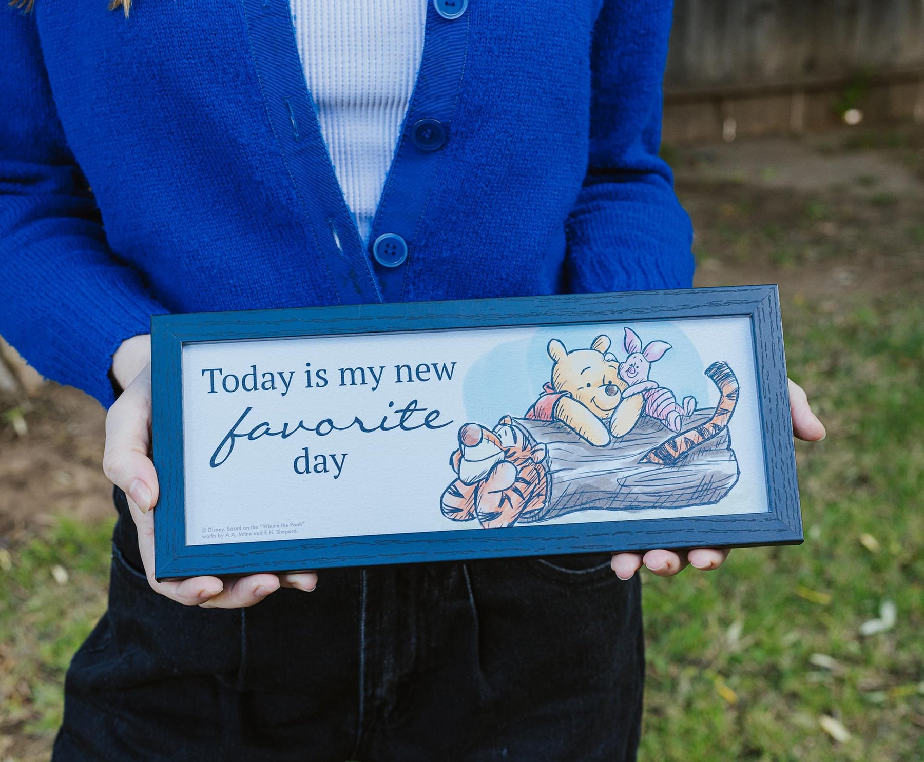 Disney Winnie The Pooh "Favorite Day" 12 x 5 Inch Hanging Wood Wall Art