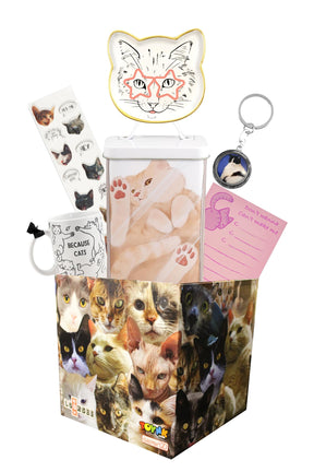 All About Cat's Themed LookSee Mystery Gift Box with 6 Cat Themed Items