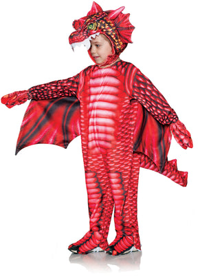 Red Dragon Printed Children's Costume