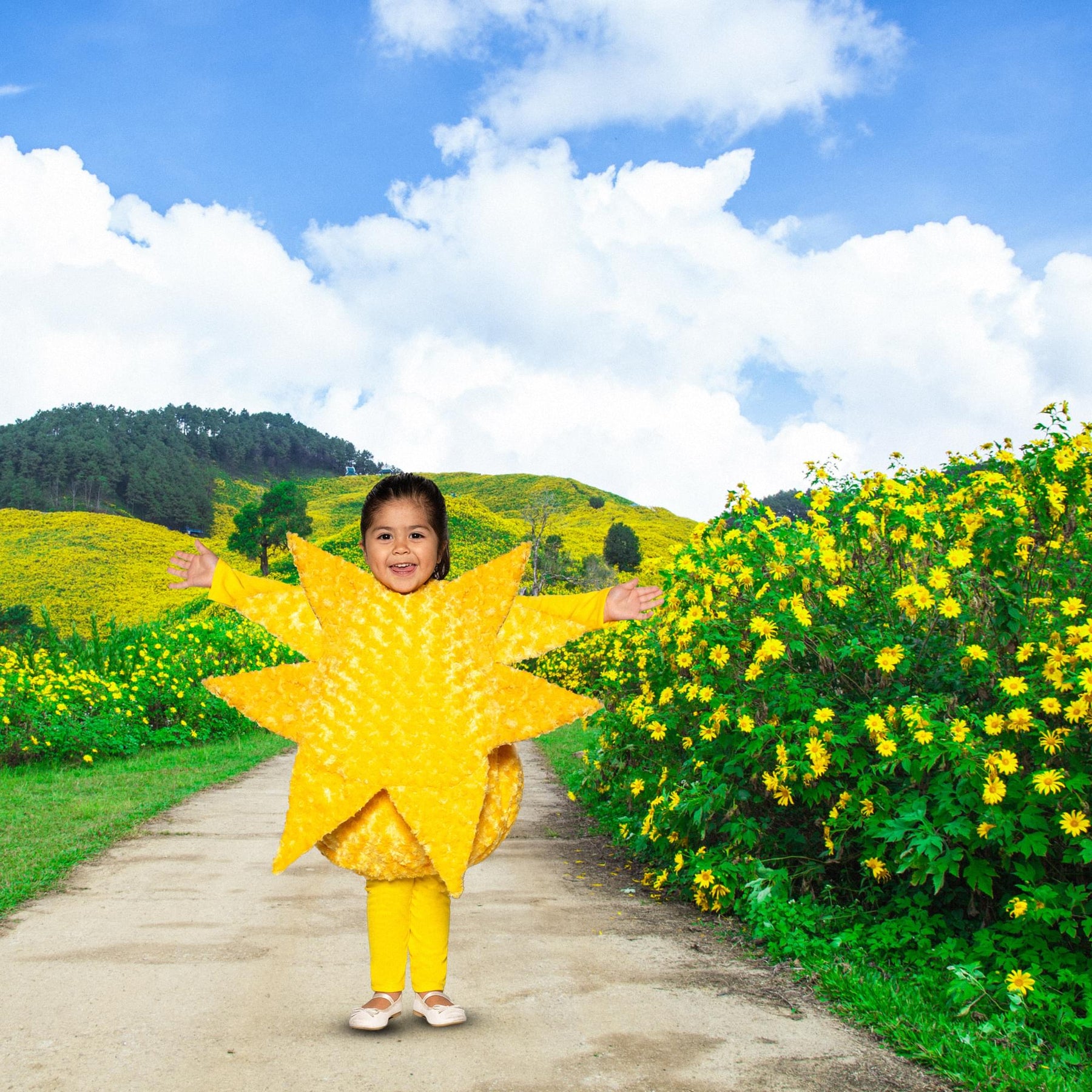 Sun Plush Swirl Fur Toddler Costume