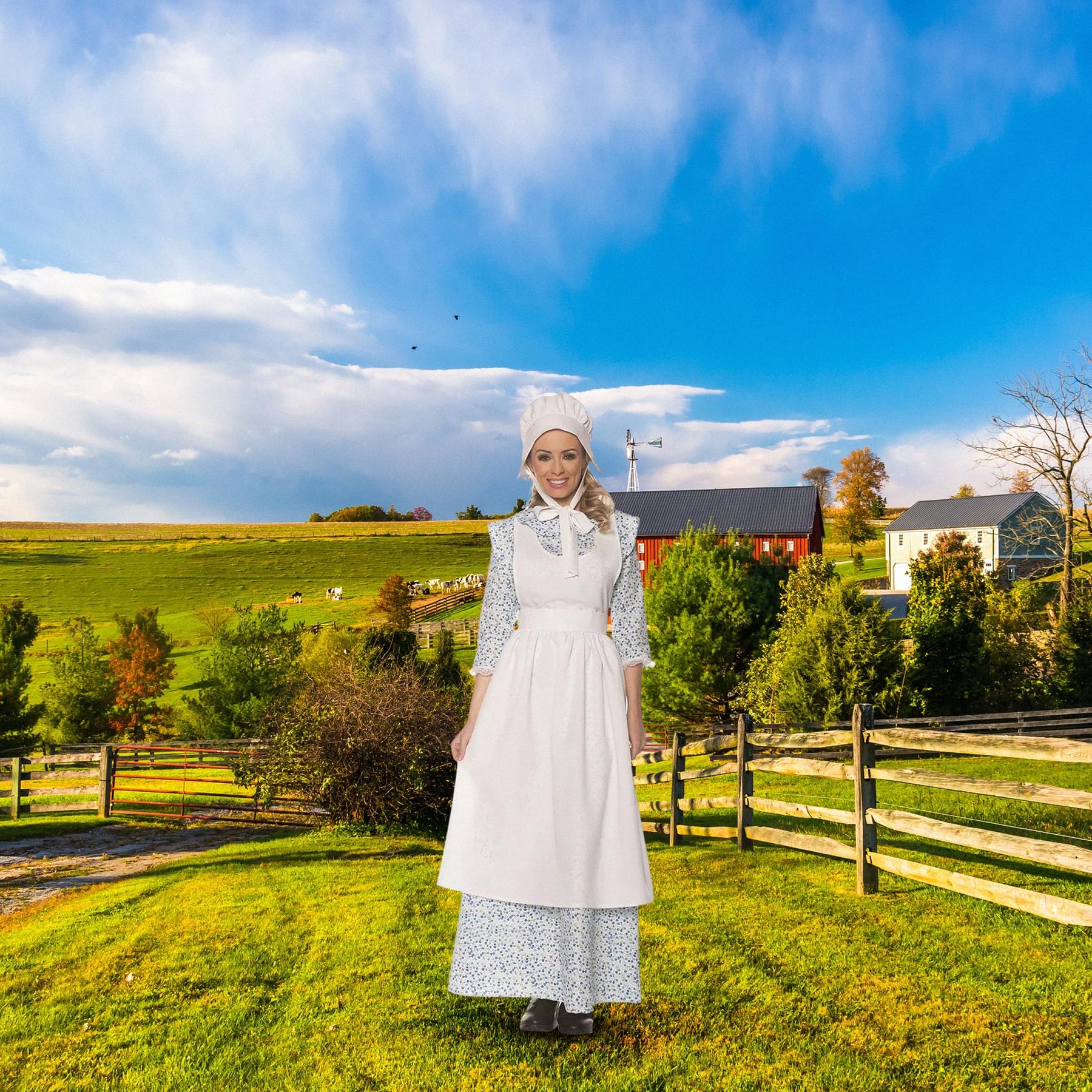 Prairie Girl Costume