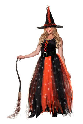 Hocus Pocus Witch Adult Costume