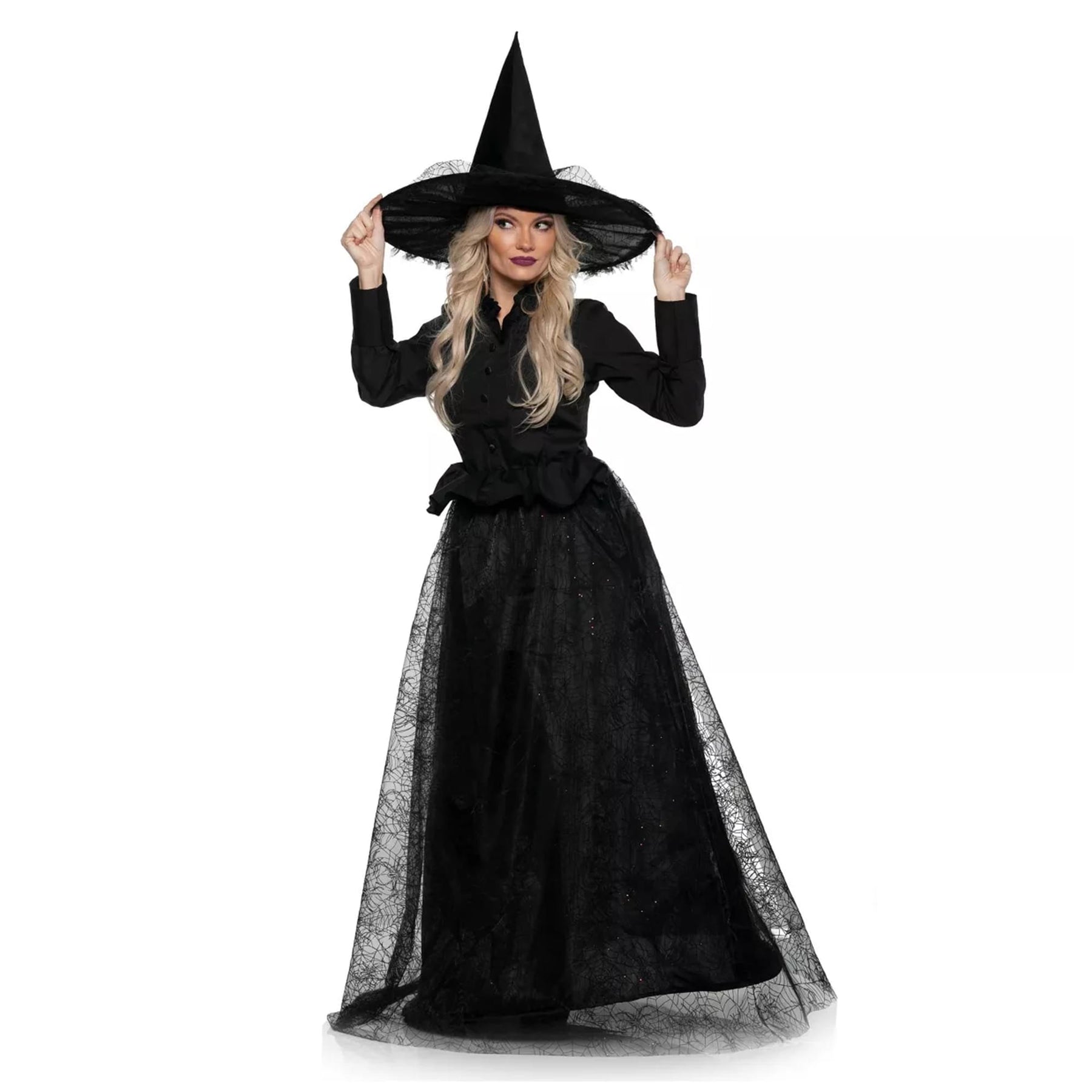 Wicked Witch Adult Costume