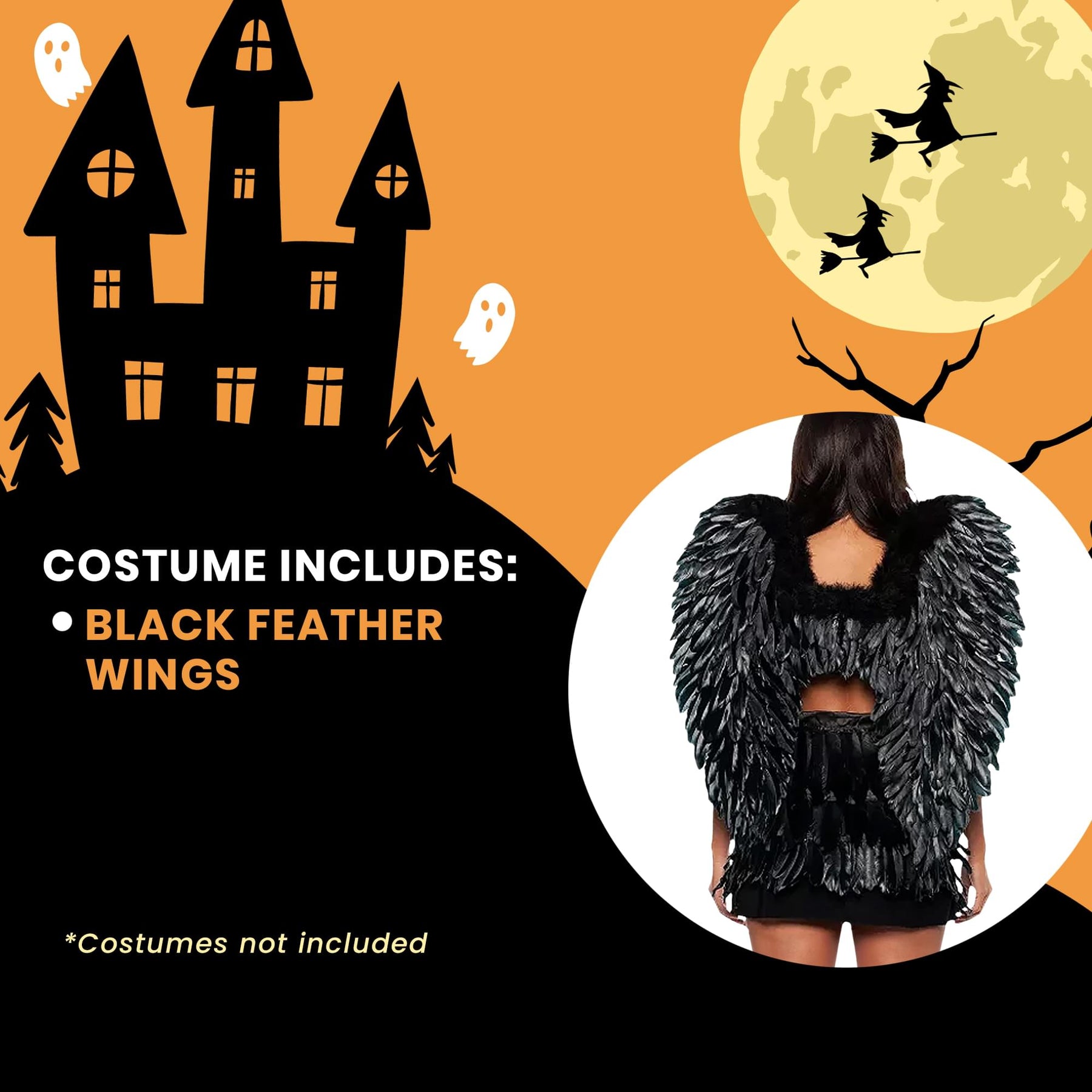 Black Feather Wings Adult Costume Accessory