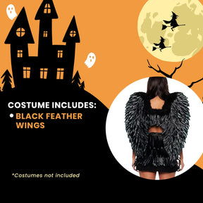 Black Feather Wings Adult Costume Accessory