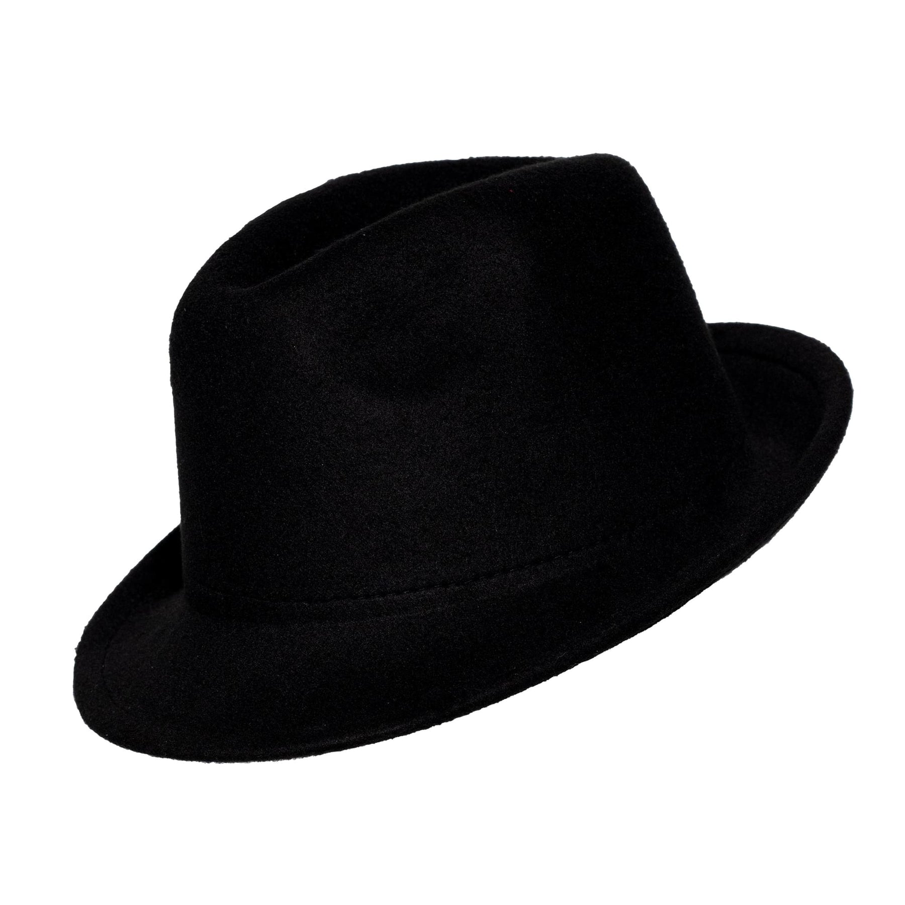 Black Felt Fedora Adult Costume Accessory