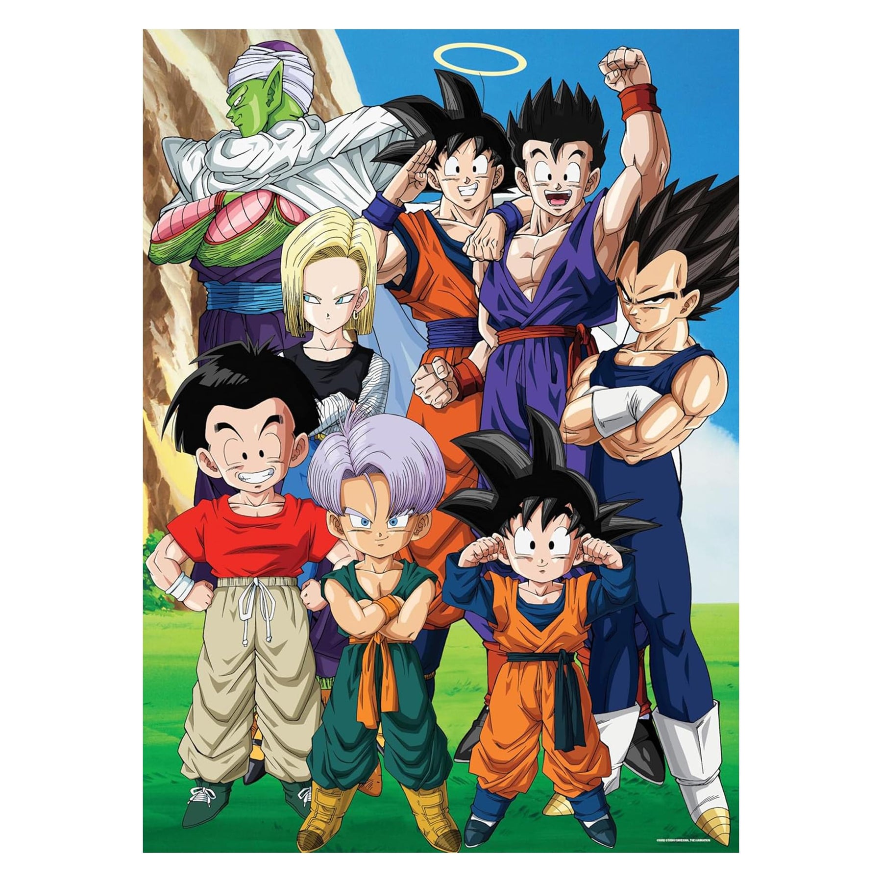 Dragon Ball Z Z Fighters 1000 Piece Jigsaw Puzzle