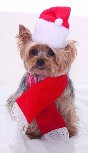 Santa Christmas Pet Costume