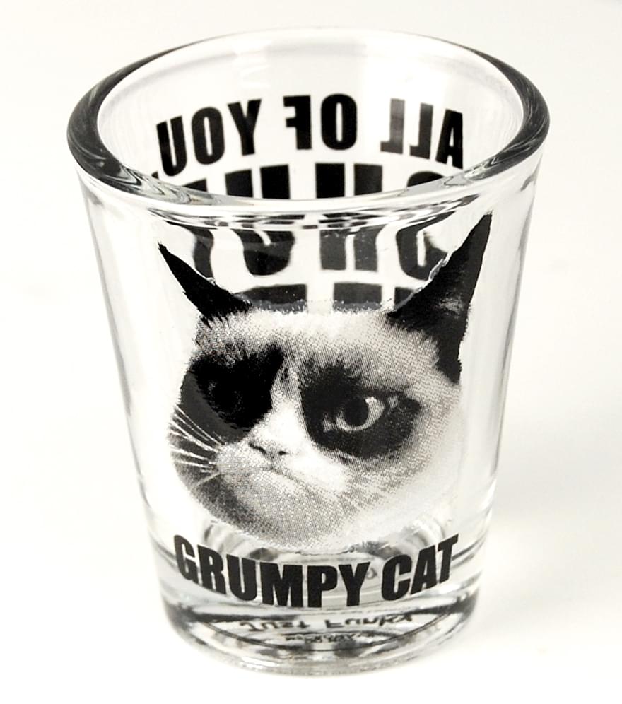 Grumpy Cat Fan Bundle: Mug, Pint Glass, Shot Glass, Wristband