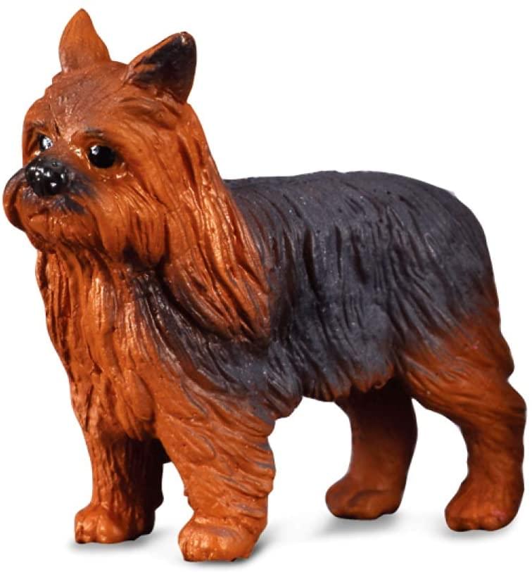 CollectA Cats & Dogs Collection Miniature Figure | Yorkshire Terrier