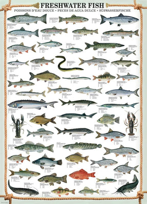 Freshwater Fish 1000 Piece Jigsaw Puzzle