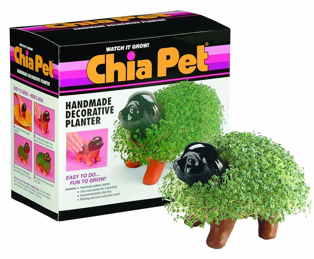 Chia Pet Puppy Free Shipping