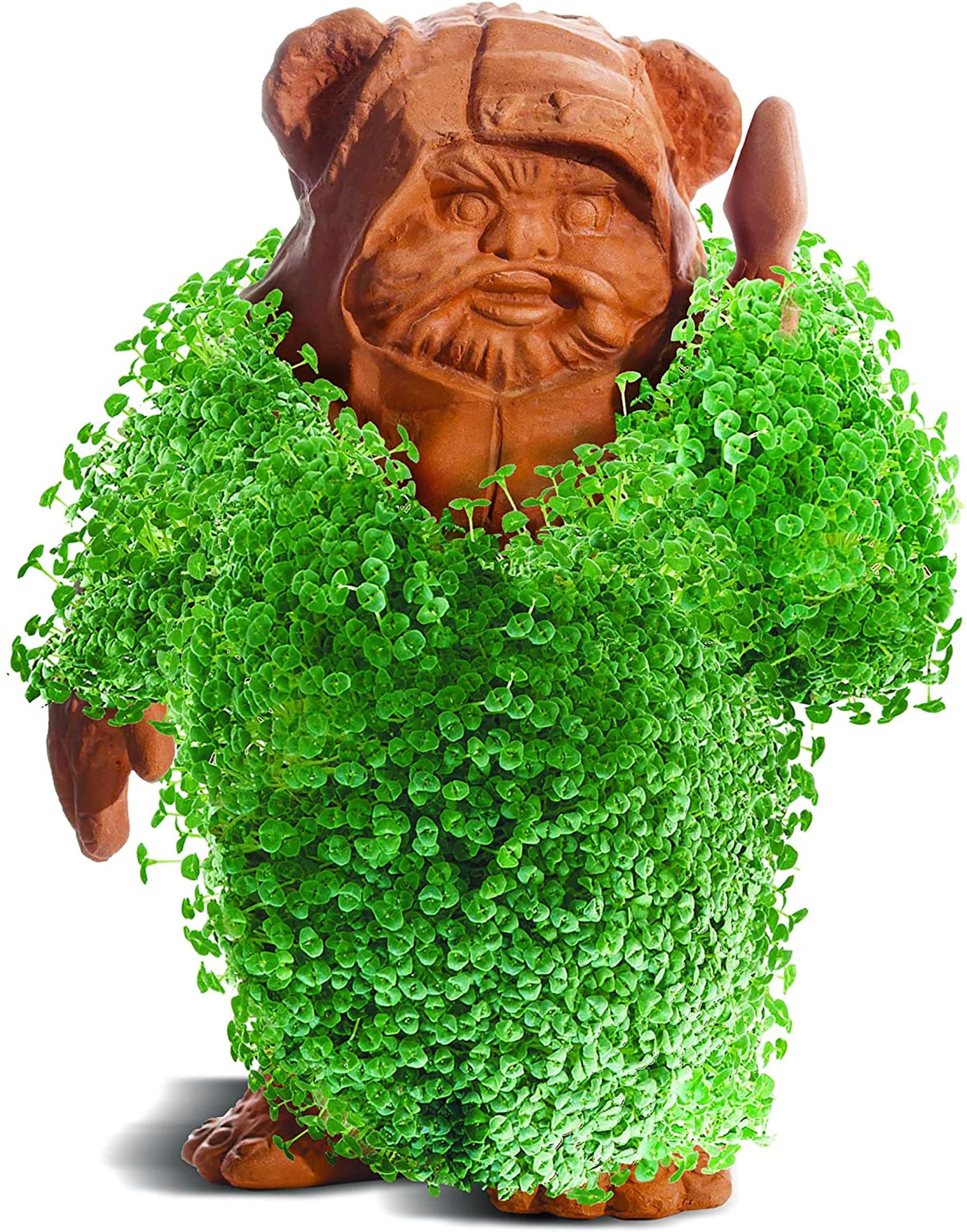 Star Wars - The Child Using The Force Chia Pet