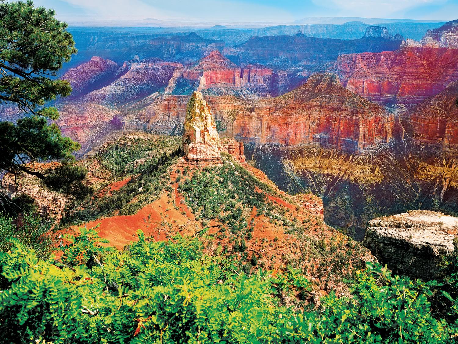 Grand Canyon North Rim 550 Piece Jigsaw Puzzle