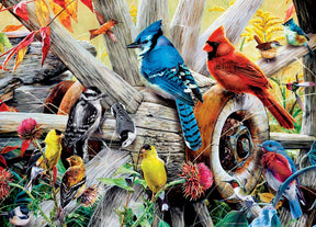 Backyard Birds 1000 Piece Jigsaw Puzzle