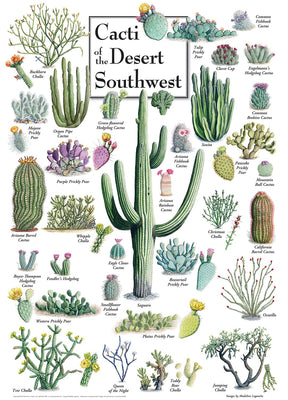 Cacti of the Desert Southwest 1000 Piece Linen Jigsaw Puzzle