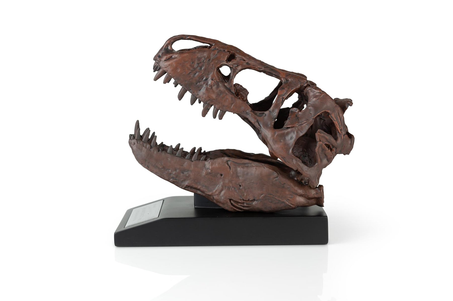 The Nation's T-Rex Skull Statue | 6-Inch Smithsonian Fossil Replica| 1:10 Scale