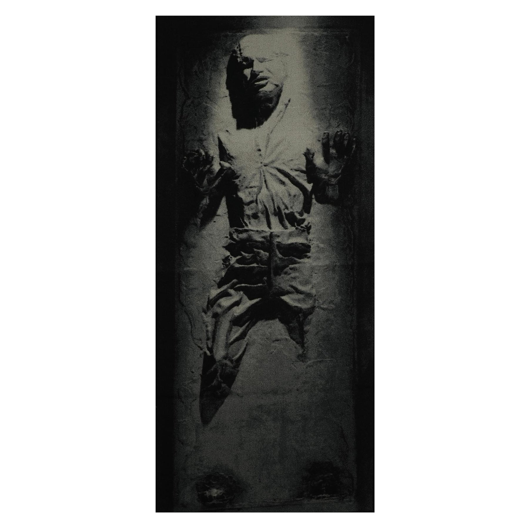 Star Wars Han Solo in Carbonite Area Rug | 39 x 91 Inches