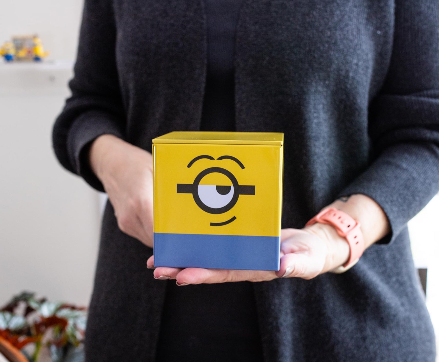 Despicable Me Storage & Containers for Kids