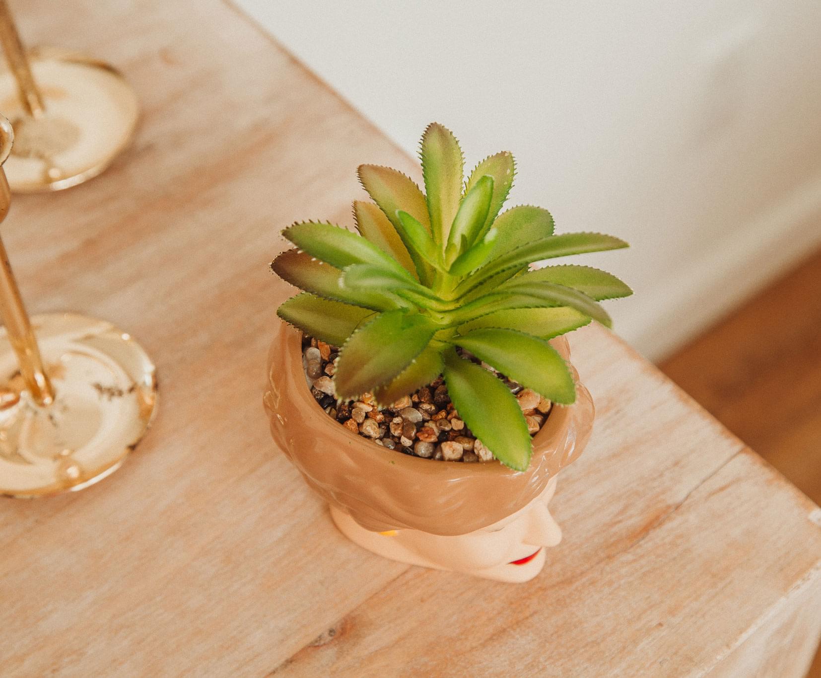 The Golden Girls Blanche 3-Inch Ceramic Mini Planter With Artificial Succulent