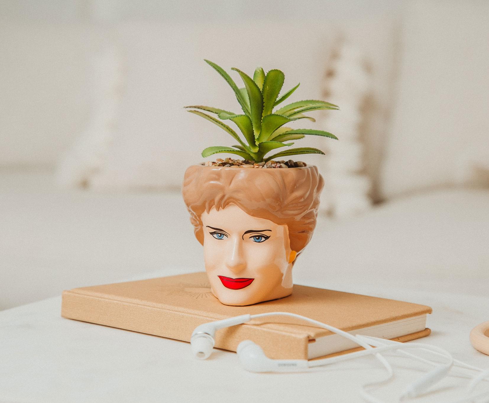 The Golden Girls Blanche 3-Inch Ceramic Mini Planter With Artificial Succulent