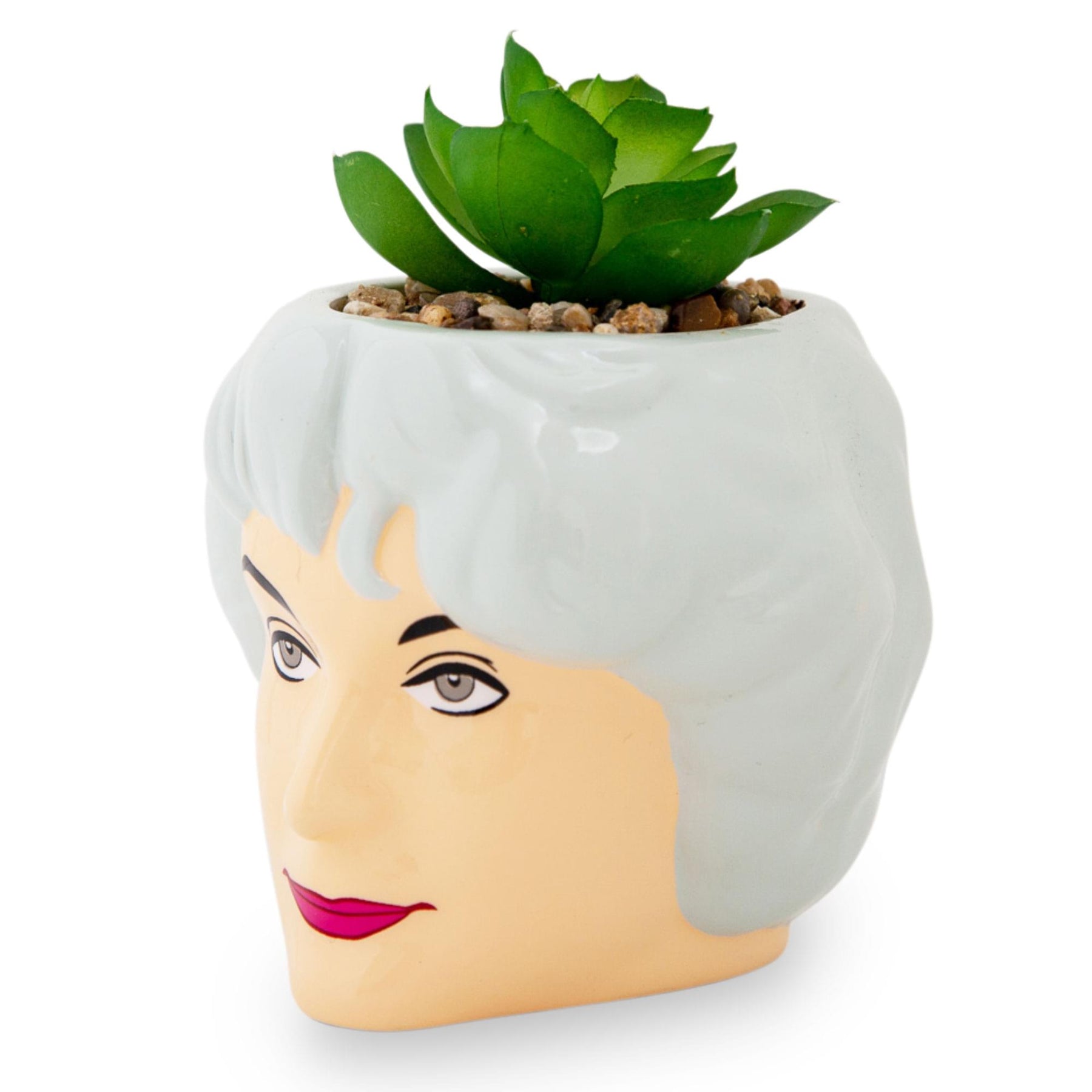 The Golden Girls Dorothy 3-Inch Ceramic Mini Planter With Artificial Succulent