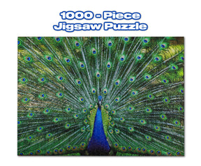 Peacock Plume Wild Zoo Animal 1000 Piece Jigsaw Puzzle